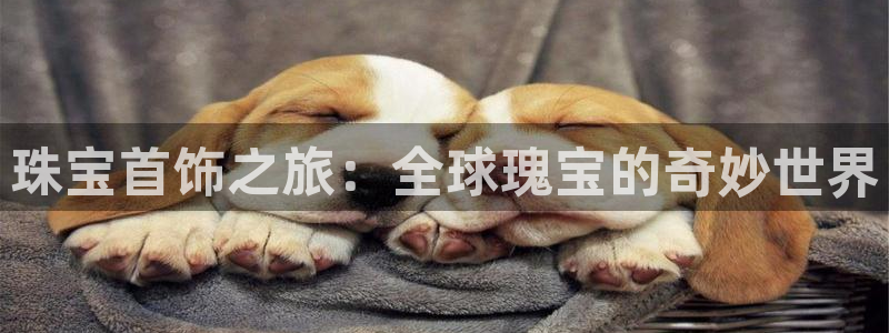 新宝5官网平台：珠宝首饰之旅：全球瑰宝的奇妙世界