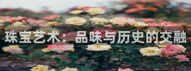 新宝注5册：珠宝艺术：品味与历史的交融