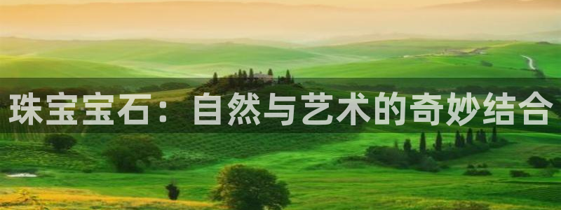 新宝5上70 667：珠宝宝石：自然与艺术的奇妙结合