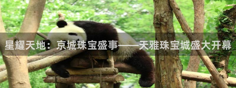新宝5代理：星耀天地：京城珠宝盛事——天雅珠宝城盛大开幕