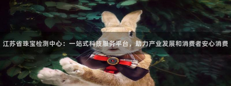 新宝5玩法：江苏省珠宝检测中心：一站式科技服务平台，助力产业发展和消费者安心消费