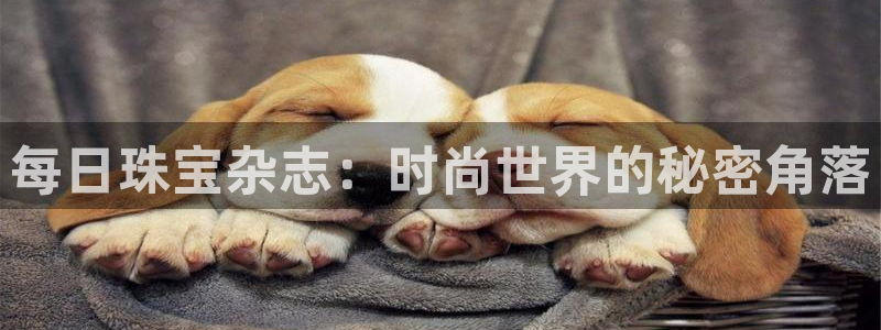 新宝5官方：每日珠宝杂志：时尚世界的秘密角落