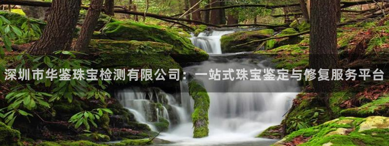 新宝股东瞧听2 5 5：深圳市华鉴珠宝检测有限公司：一站式珠宝鉴定与修复服务平台