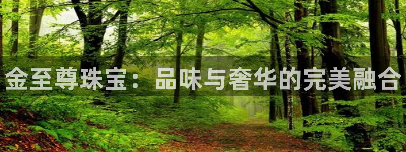 新宝5彩票平台登陆：金至尊珠宝：品味与奢华的完美融合