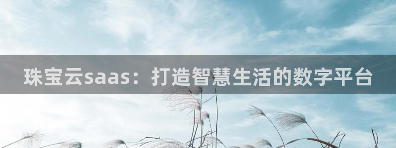 新宝5下载网址：珠宝云saas：打造智慧生活的数字平台