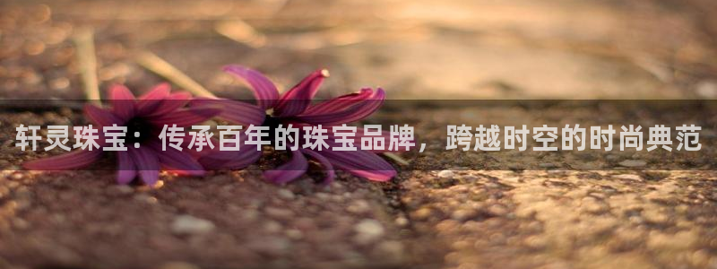 新宝5登录入口网址：轩灵珠宝：传承百年的珠宝品牌，跨越时空的时尚典范