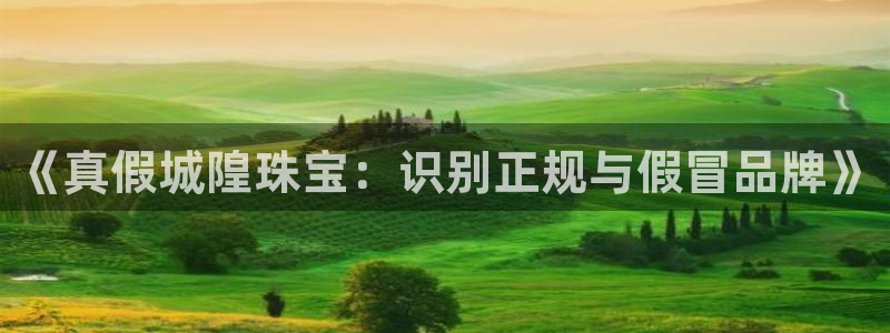 新宝j2O5O5O：《真假城隍珠宝：识别正规与假冒品牌》