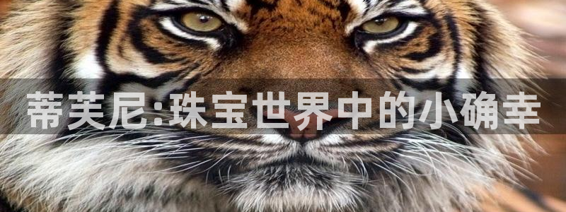 新宝5下载软件：蒂芙尼:珠宝世界中的小确幸