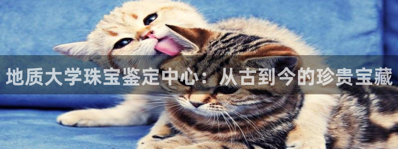 新宝5娱乐主管：地质大学珠宝鉴定中心：从古到今的珍贵宝藏