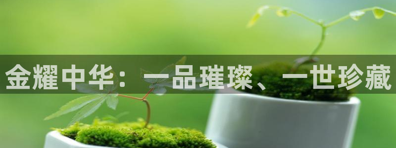 新宝骏rc5W：金耀中华：一品璀璨、一世珍藏