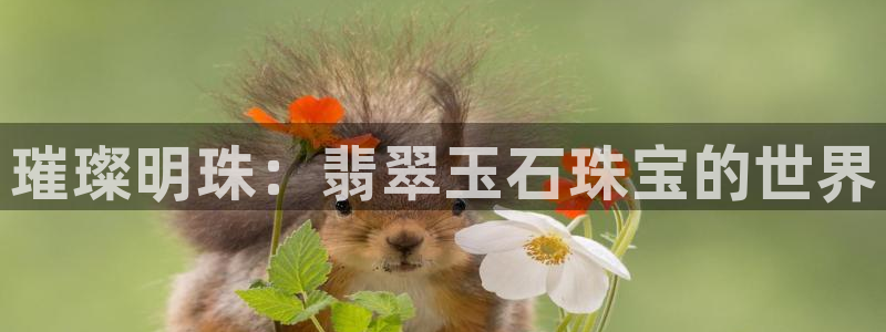 新宝5首页：璀璨明珠：翡翠玉石珠宝的世界