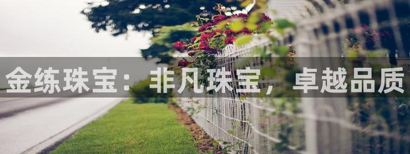 新宝5台卡：金练珠宝：非凡珠宝，卓越品质