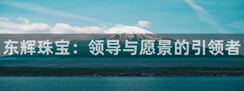 新宝5上70 667：东辉珠宝：领导与愿景的引领者