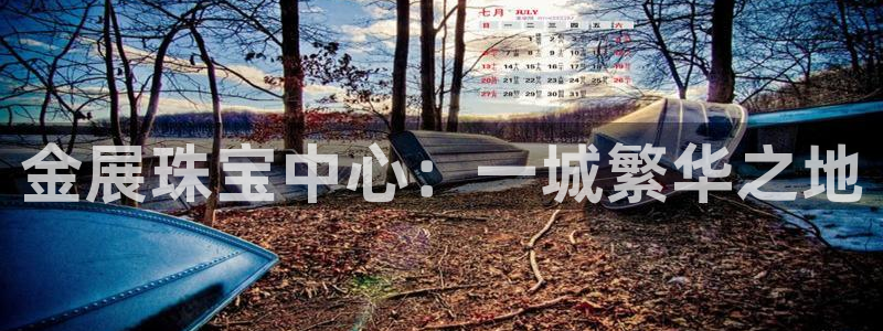 新宝5 代理：金展珠宝中心：一城繁华之地