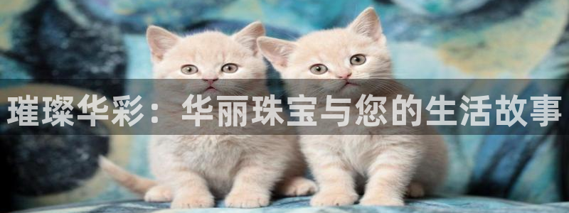 新宝5褚32OO59：璀璨华彩：华丽珠宝与您的生活故事