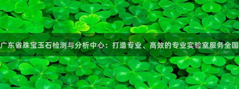 新宝5登录霸：广东省珠宝玉石检测与分析中心：打造专业、高效的专业实验室服务全国