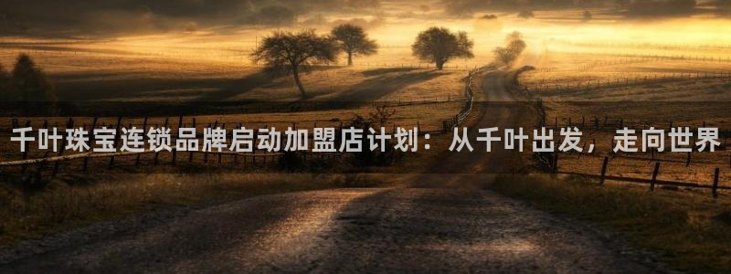 5新宝：千叶珠宝连锁品牌启动加盟店计划：从千叶出发，走向世界