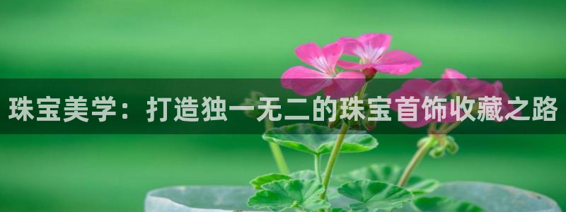 新宝5注册账号：珠宝美学：打造独一无二的珠宝首饰收藏之路
