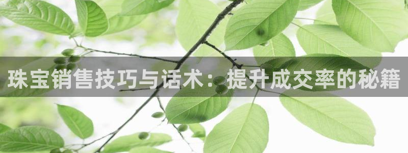 新宝5公司：珠宝销售技巧与话术：提升成交率的秘籍