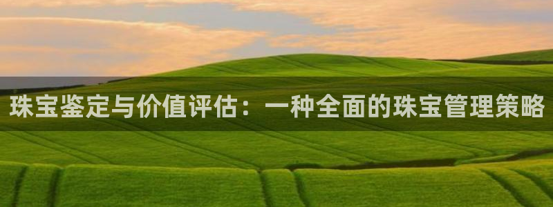 新宝5娱乐经：珠宝鉴定与价值评估：一种全面的珠宝管理策略