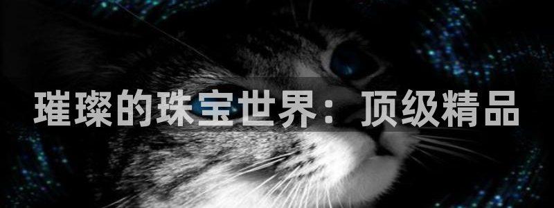 新宝集团新宝5：璀璨的珠宝世界：顶级精品