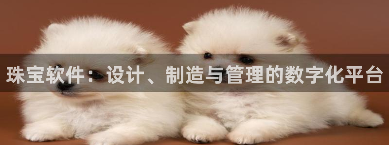 新宝5郑74OOO5：珠宝软件：设计、制造与管理的数字化平台