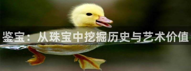 新宝5官网平台：鉴宝：从珠宝中挖掘历史与艺术价值