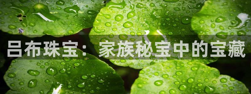 新宝5娱乐同：吕布珠宝：家族秘宝中的宝藏