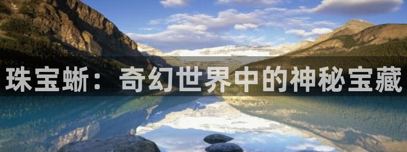 新宝5平台注册公司：珠宝蜥：奇幻世界中的神秘宝藏