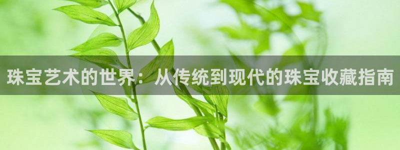 新宝股东张听2 5 5：珠宝艺术的世界：从传统到现代的珠宝收藏指南
