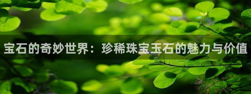 新宝5主管：宝石的奇妙世界：珍稀珠宝玉石的魅力与价值