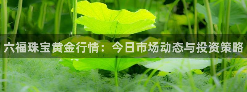 新宝5是谁的：六福珠宝黄金行情：今日市场动态与投资策略