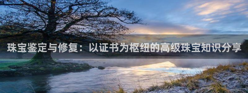 新宝5网址：珠宝鉴定与修复：以证书为枢纽的高级珠宝知识分享