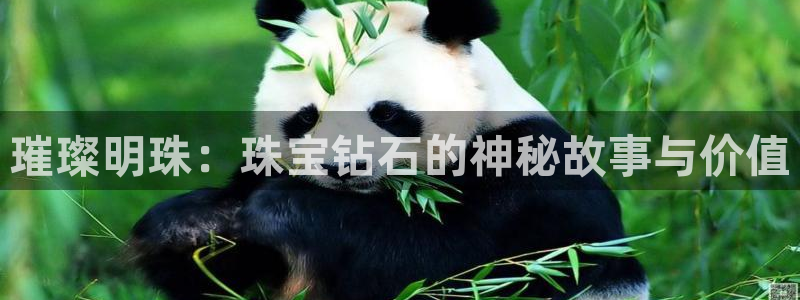 新宝5客户端登录：璀璨明珠：珠宝钻石的神秘故事与价值