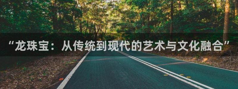 新宝5娱乐手机登录：“龙珠宝：从传统到现代的艺术与文化融合”